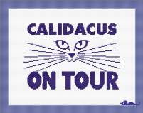 Calidacus A